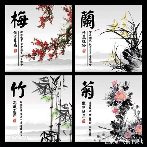 梅蘭菊竹象徵|梅、蘭、竹、菊為什麼被稱為「花中四君子」